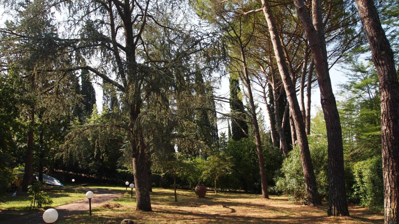 Due Passi Nel Parco Con Parcheggio Gratuito Lejlighed Firenze Eksteriør billede