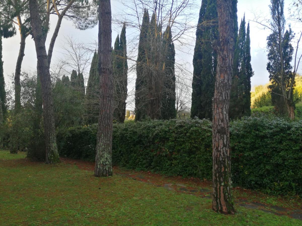 La Casa Di Duccio Con Parcheggio Gratuito Lejlighed Firenze Eksteriør billede
