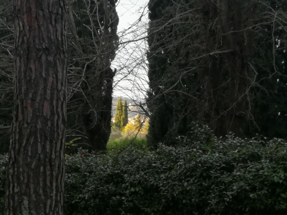 La Casa Di Duccio Con Parcheggio Gratuito Lejlighed Firenze Eksteriør billede