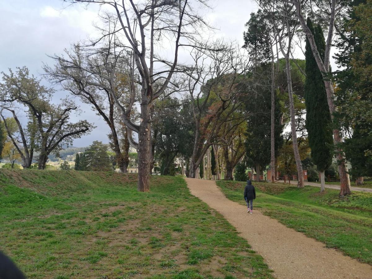 Due Passi Nel Parco Con Parcheggio Gratuito Lejlighed Firenze Eksteriør billede